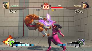 Dreamhack Winter 2013 MoneyMatch  Ryan Hart sagat vs Luffy rose FT3  SSFIVAE [upl. by Aytak]