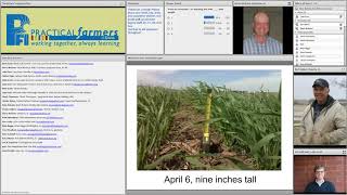 Cover Crop Basics for Corn and Soybeans  Farminar [upl. by Henn]