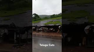 chaparai trending araku cool telugucuts [upl. by Frans]