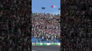 TORCIDA DO PALMEIRAS NO ESTÁDIO CENTENÁRIO EM MONTEVIDÉO PALMEIRAS LIBERTADORES [upl. by Nidnarb]