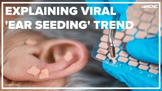 Explaining the viral trend ear seeding [upl. by Sophi]