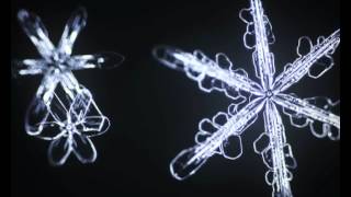 Sixsided snowflakes bloom in slow motion [upl. by Rosenblatt]