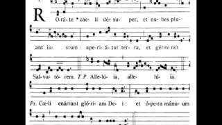 Rorate Caeli  Introit Fourth Sunday of Advent  Mode Imp4 [upl. by Aihseyn]