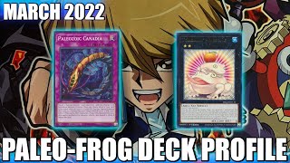 PALEOZOIC FROG DECK PROFILE  MARCH 2022  YuGiOh [upl. by Gregorius]