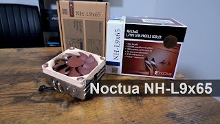 Noctua NH L9x65 review [upl. by Rubina656]