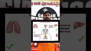 How Karlakattai Workouts Strengthen Your Front Skeleton and Protect Vital Organs ganeshfitnessclub [upl. by Gorga29]