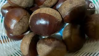 Les bienfaits des marrons 🌰🌰🌰tout savoir sur cette source dénergie [upl. by Nidla]