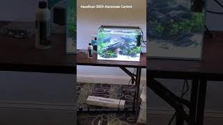 AquaExpo 2024 Aquascape Contest [upl. by Labanna]