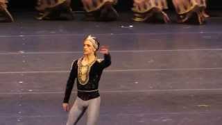 Sergei Polunin  La Bayadere 21102013 [upl. by Oicnecserc]