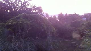 midges swarm at Klamath Lake [upl. by Yliram]