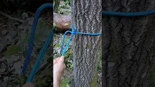 Amazing KNOT using FOR tying HAMMOCK 😍 survival outdoors knot skills shorts bushcraft rope [upl. by Remy]