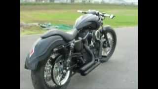 HARLEYDAVIDSON ハーレーダビットソン XL883R SPORTSTER カスタム TRIJYA [upl. by Ahsikrats]