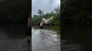 how to throw cast net shots youtubeshorts [upl. by Celik]