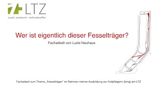 Wer ist eigentlich dieser Fesselträger Facharbeit von Luzie Neuhaus  LTZ [upl. by Malinin]