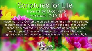 Scriptures for Life  Trained by Discipline [upl. by Eatnuhs330]