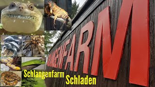 Schlangenfarm Schladen Harz LoveLife Schlangensitin [upl. by Brigit]