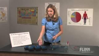 Six Gel Electrophoresis Apparatus [upl. by Nosilla]