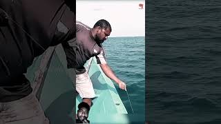 fishing kingfish bigfish seafishing fishking viral video viralshorts [upl. by Sela]