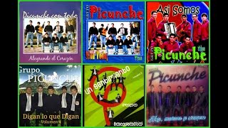 GRUPO PICUNCHES  🎧 COMPILADO GRANDES EXITOS 🎶🎶🎶 [upl. by Yvehc100]