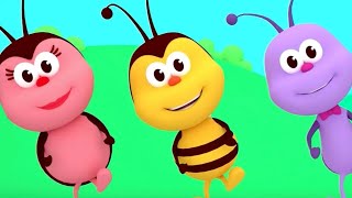 The Hokey Pokey Dance  Songs For Kids amp Nursery Rhymes  Boogie Bugs [upl. by Arelc293]