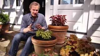 HowTo Water Your Plants With Waterwise® amp P Allen Smith [upl. by Alburg]