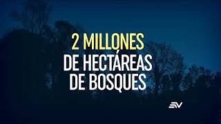 DEFORESTACIÓN EN LA AMAZONIA AMENAZA LA BIODIVERSIDAD DE SU ECOSISTEMA [upl. by Adhern773]