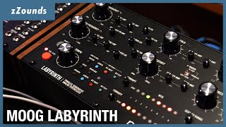 Moog Labyrinth Parallel Generative Analog Synth Overview Demo amp Tutorial with Max Ravitz  zZounds [upl. by Hannazus534]