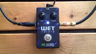 5 Minutes with the Neunaber Technology Wet Reverb  Pedal Demo [upl. by Archangel]