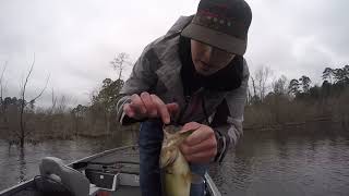 Sam Rayburn Pre Spawn Fishing [upl. by Jeffie543]