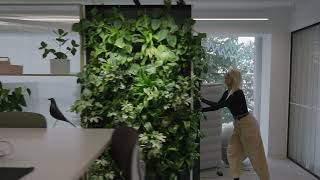 Naava Swan mobile green wall [upl. by Yentruok]