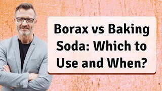 Borax vs Baking Soda Which to Use and When [upl. by Aivatco]