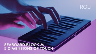 Seaboard BLOCK M Discover 5 Dimensions of Touch Anywhere [upl. by Persis]