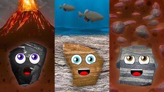 3 Types of Rocks and The Rock Cycle [upl. by Terrye]