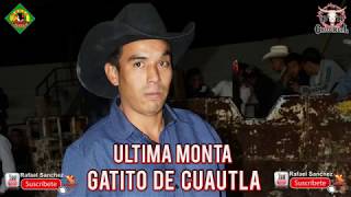 GATO DE CUAUTLA  SU ULTIMAS MONTAS EN AYALA MORELOS  RIP [upl. by Anwahs]