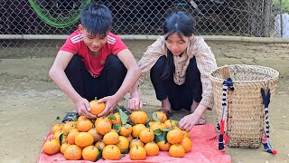 Two homeless children picked oranges to sell and picked wild vegetables to cook  Homeless Boy [upl. by Yttel]