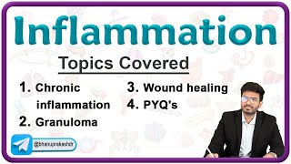 Chronic Inflammation  Wound Healing amp Granuloma  Pathology Lecture 4 [upl. by Nuajed92]