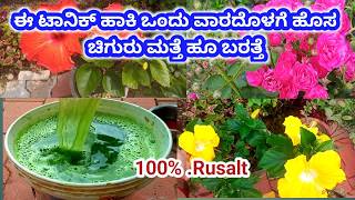 ಈ ಟಾನಿಕ್ ಹಾಕಿದ ಒಂದು ವಾರದೊಳಗೆ ಹೊಸ ಚಿಗುರು ಬರತ್ತೆ  best organic fertilizer for plant [upl. by Violet]