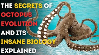 The Secrets of Octopus Evolution and Its Insane Biology  Explained [upl. by Akissej]