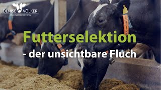 Futterselektion  der unsichtbare Fluch [upl. by Nauj]