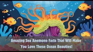 Why Do Sea Anemones Look Like Flowers Discover 10 Fun Facts [upl. by Leban668]