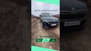 oda Kodiaq 4x4 Potencia y Versatilidad en Cada Terreno 🚙💪 [upl. by Wyatan]