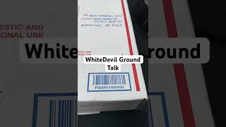 WhiteDevil Snow Goose Call Ground Talk [upl. by Neeloj]