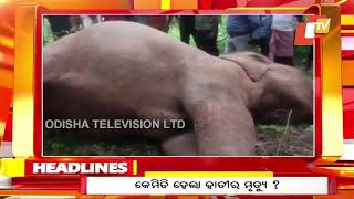 12 PM Headlines  13th July 2024  Odisha TV  OTV [upl. by Esirahc]