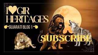 lion den resort gir  filmy drama 🥰 dhari ambardi safari park youtubeshortstrendingexplore [upl. by Ieluuk]