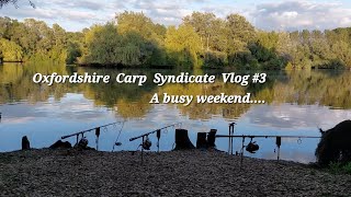 Oxford Linear Carp Fishery Syndicate  Vlog 3 [upl. by Yramliw]