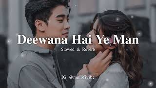 Deewana Hai Yeh Mann Kyun Pagal Hai Dhadkan  Slowed Reverb  Top Latest Lofi Songs [upl. by Akyssej]