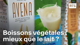 Les boissons végétales peuventelles remplacer le lait   RTS [upl. by Nogras]