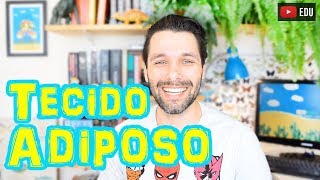 Tecido Adiposo  Histologia  Aula  Biologia com Samuel Cunha [upl. by Nnairet]