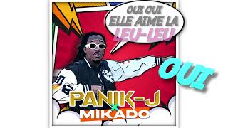 PANIK J X mikado972  À La Queue Leu Leu  Vidéo Lyrics [upl. by Eedrahs]