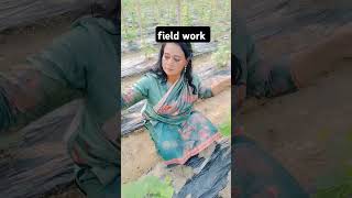 field work and vegetable field paro agriculturefield highlights Bangladesh village view [upl. by Yklam]